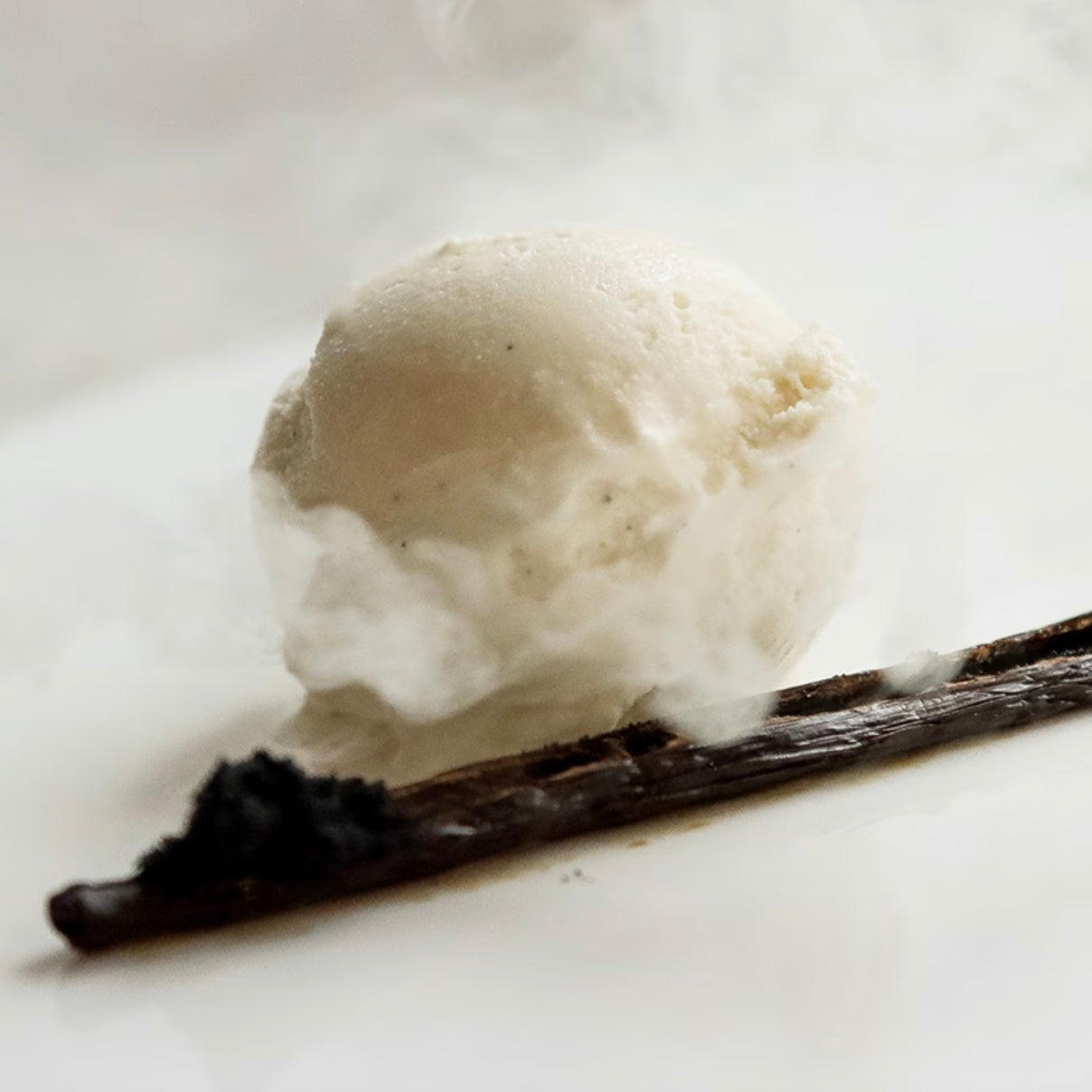 NOROHY Premium Tahitian Vanilla Beans, Vial of 2