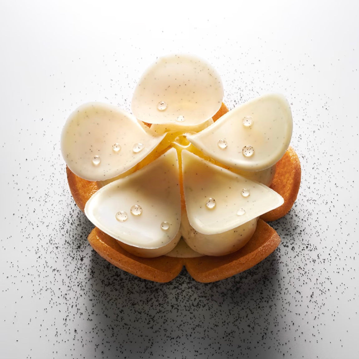 NOROHY Premium Tahitian Vanilla Beans, Vial of 2