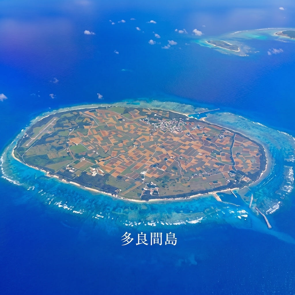 Aerial view of Tarama island, where the sugarcane for Okinawa Black Sugar is cultivated, with blue ocean and clear sky