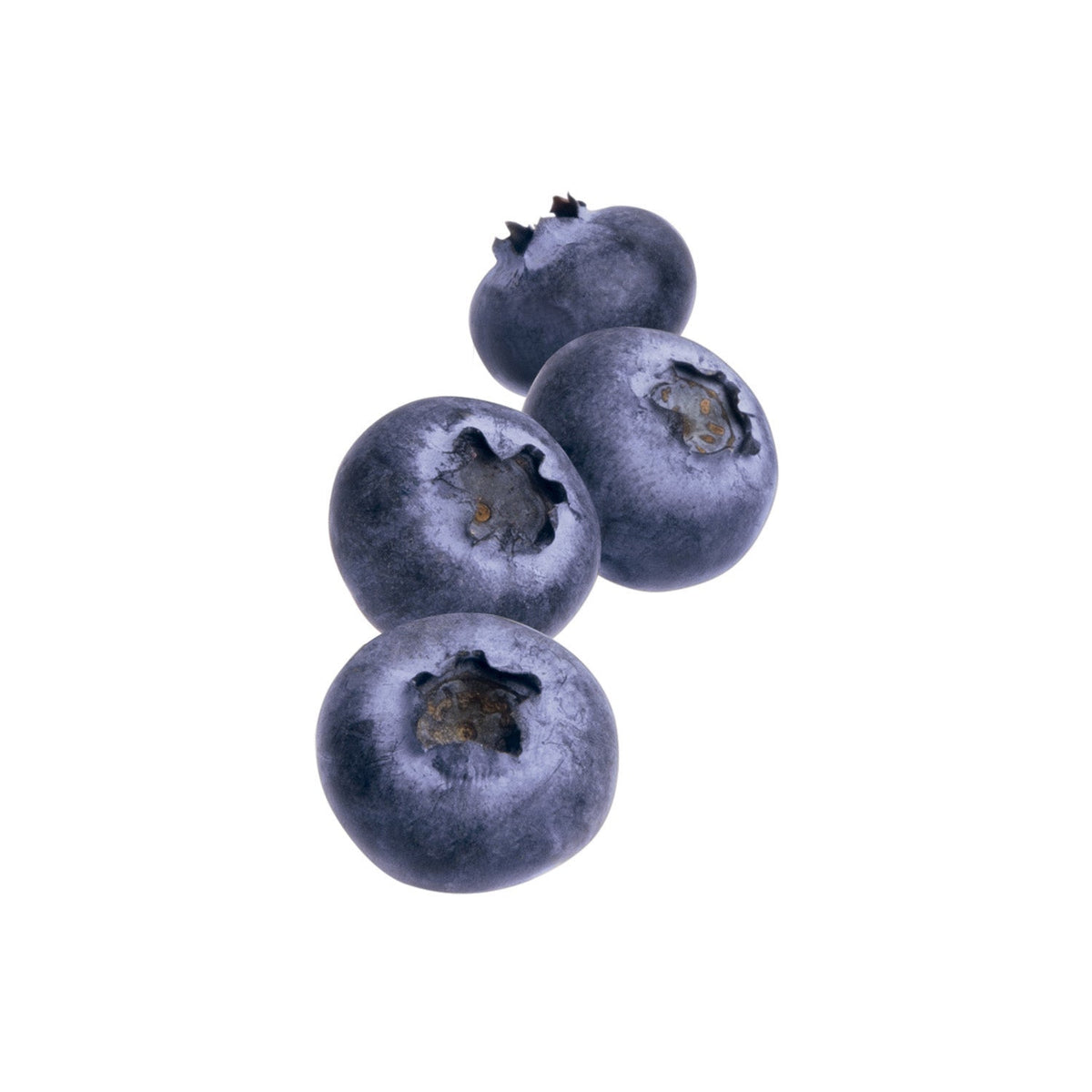 Five blueberries on a white background