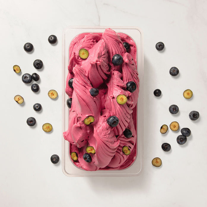 Blueberry ice cream made with Pacific Fruit shelf stable puree in a container with blueberries on a white background