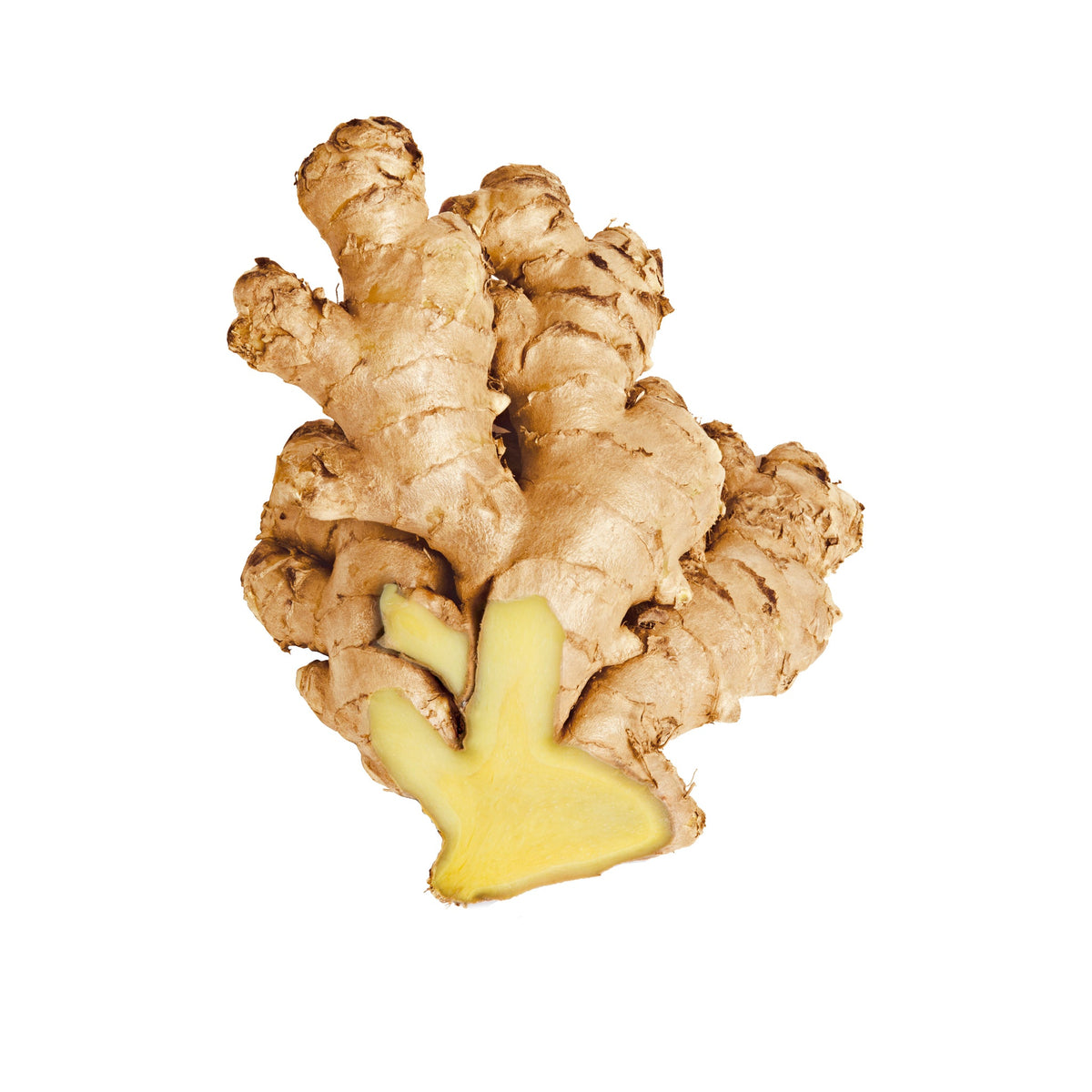 Ginger root on a white background