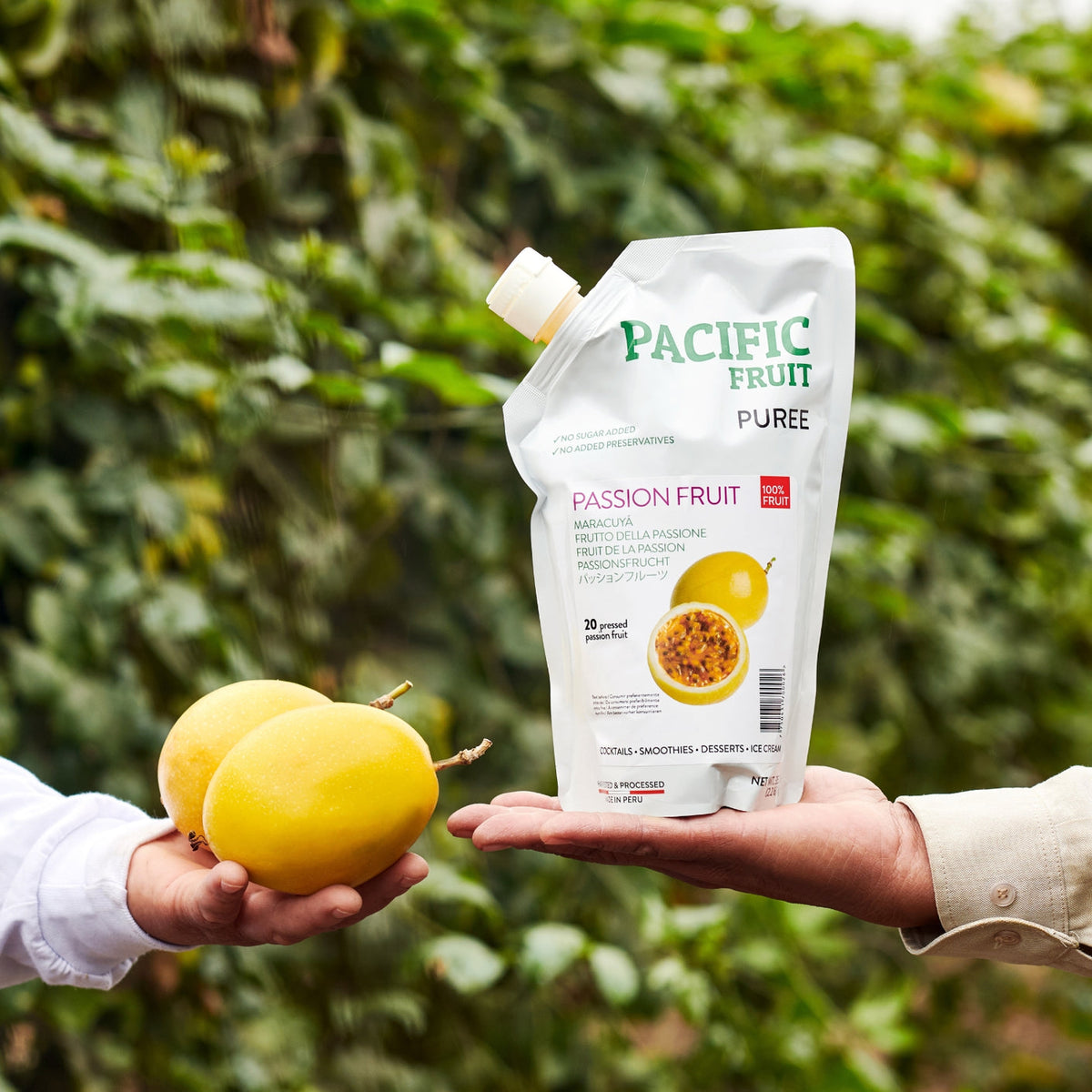 Person holding a passion fruit and a Pacific Fruit Puree pouch in front of a green, leafy background.