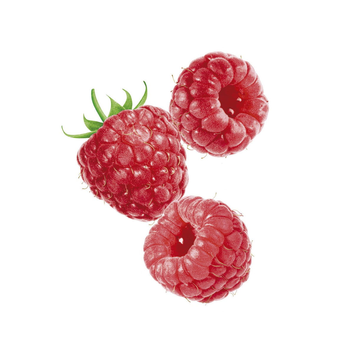 Three raspberries on a white background