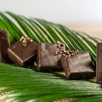 Several square pieces of dark chocolate with a glossy finish, some topped with chopped nuts, arranged on a green palm leaf.
