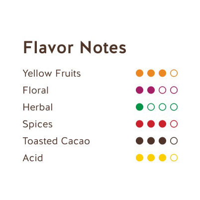 REPUBLICA DEL CACAO Mexico 66% – Dark Chocolate Couverture