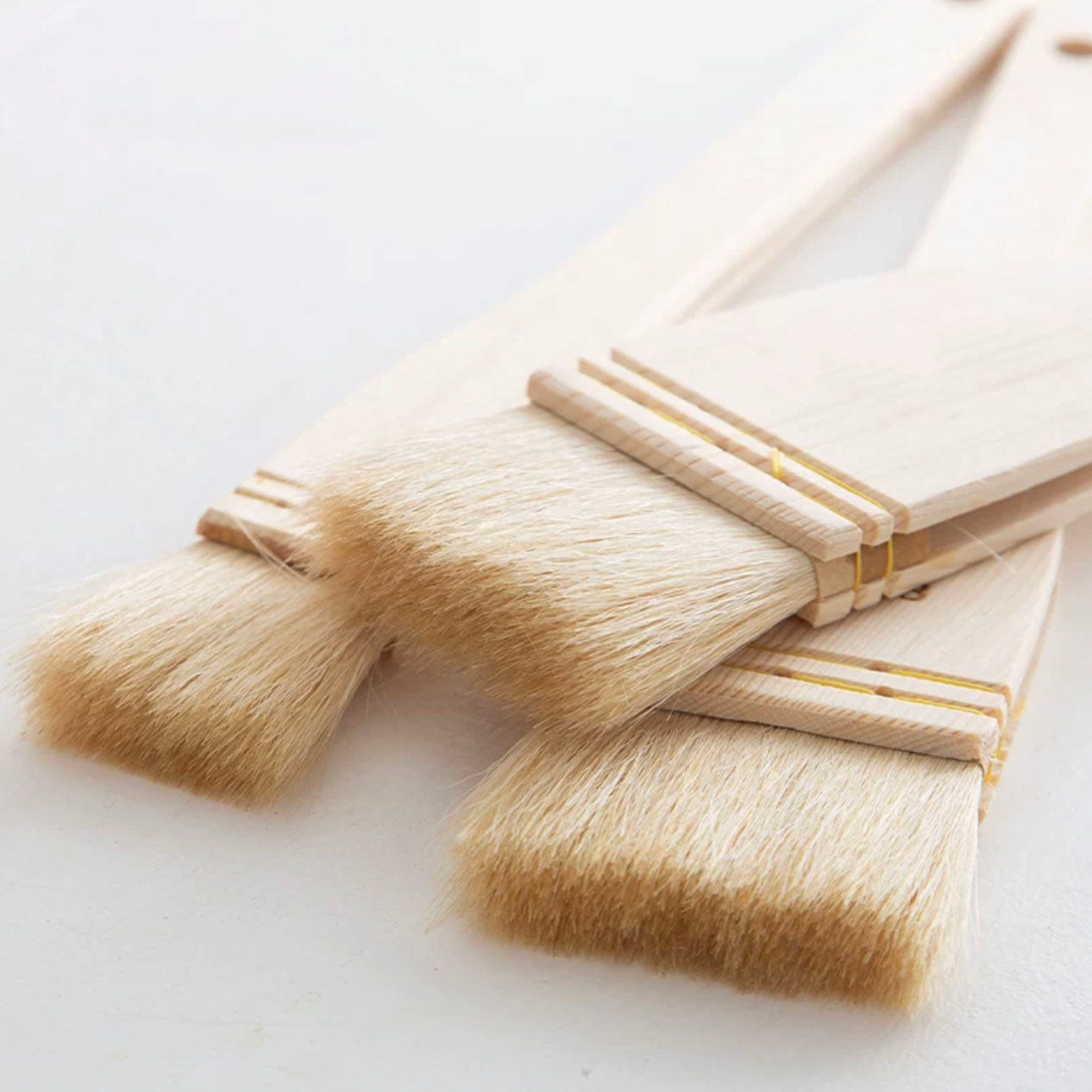 Set of Sanneng natural bristle brushes on a light background