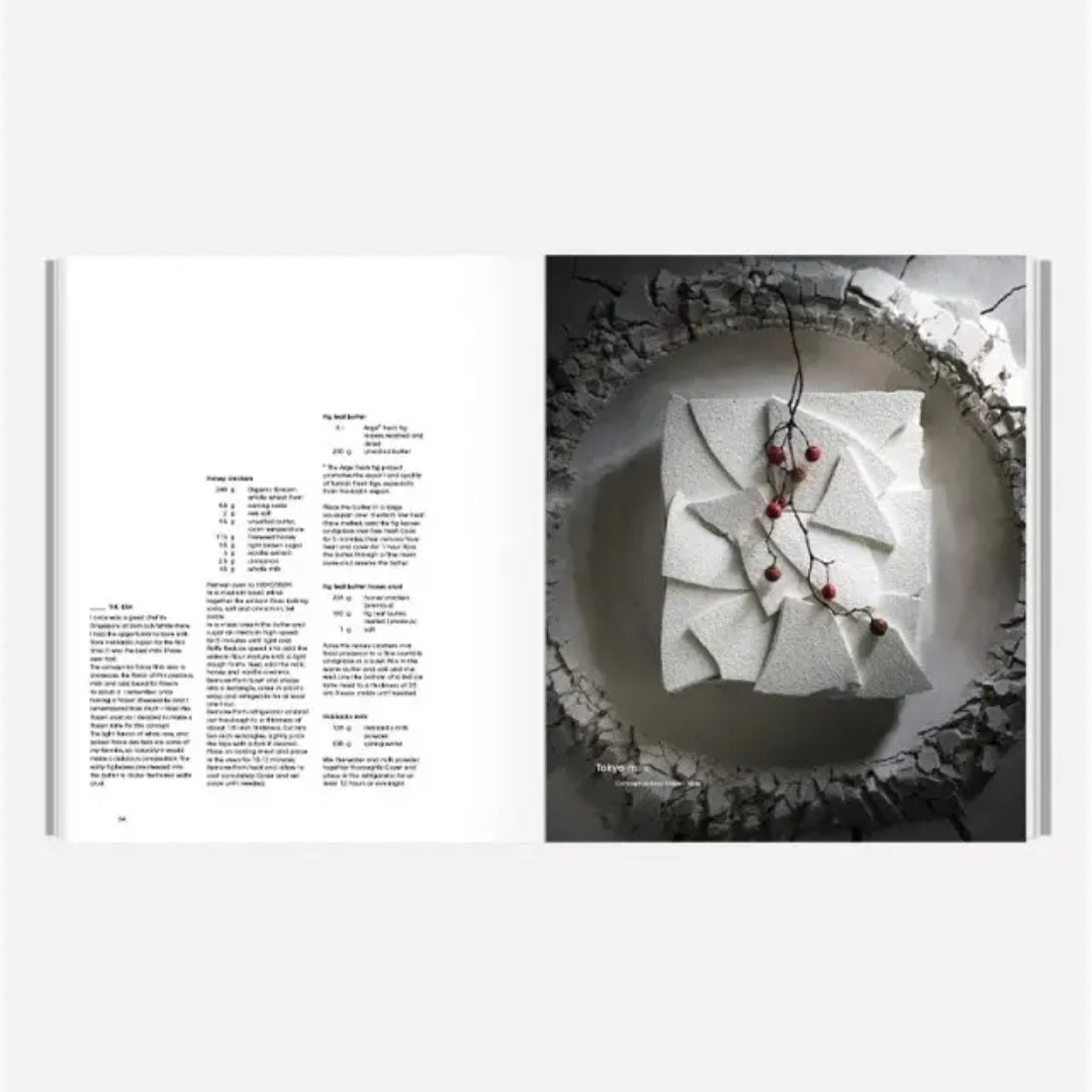 Book page with a photograph of a white plated frozen dessert on a textured surface