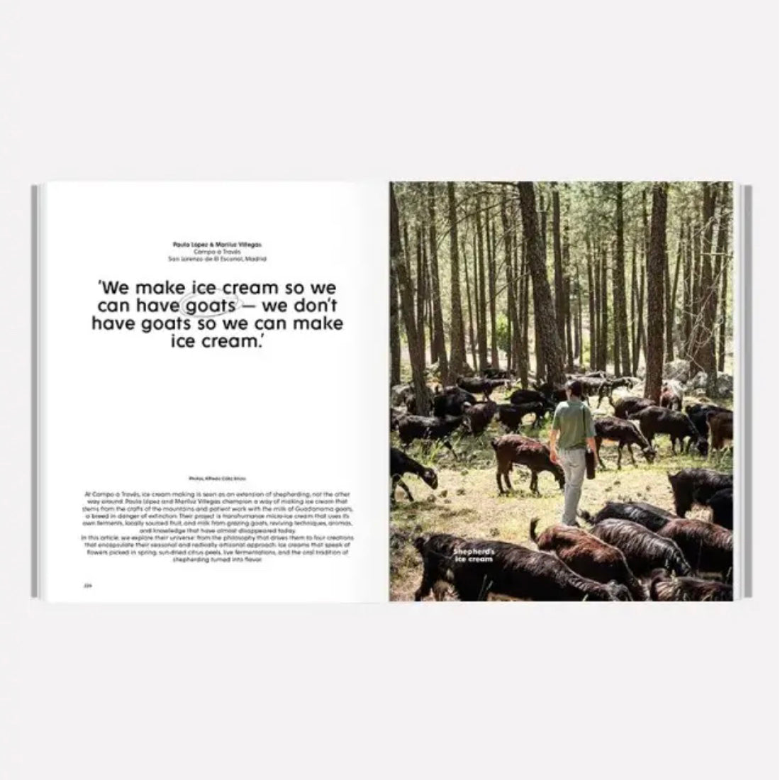 Person with cows in a forest setting, text about ice cream making.
