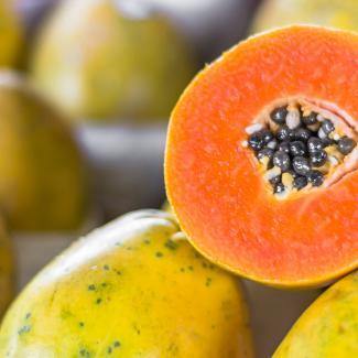 BOIRON Frozen Fruit Puree, Papaya