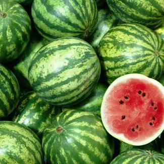 BOIRON Frozen Fruit Puree, Watermelon
