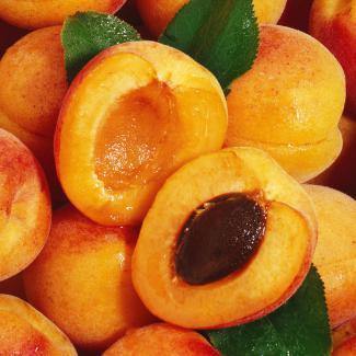BOIRON Frozen Fruit Puree, Apricot - Gusta Supplies