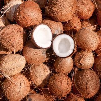 BOIRON Frozen Fruit Puree, Coconut
