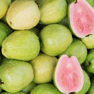 BOIRON Frozen Fruit Puree, Guava - Gusta Supplies