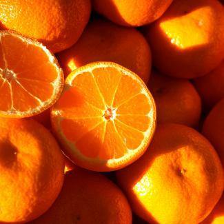 BOIRON Frozen Fruit Puree, Mandarin Orange - Gusta Supplies