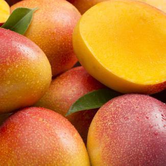 BOIRON Frozen Fruit Puree, Mango - Gusta Supplies
