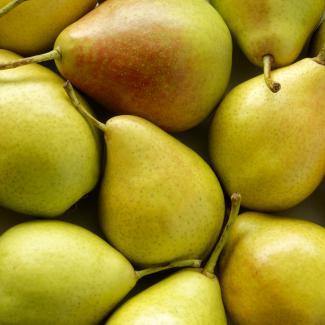 BOIRON Frozen Fruit Puree, Pear - Gusta Supplies