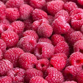 BOIRON Frozen Fruit Puree, Raspberry