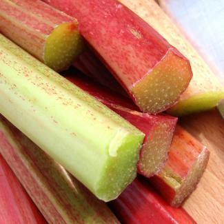 BOIRON Frozen Fruit Puree, Rhubarb (1kg) - Gusta Supplies