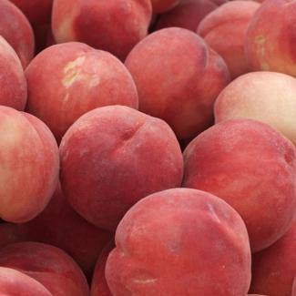 BOIRON Frozen Fruit Puree, White Peach - Gusta Supplies