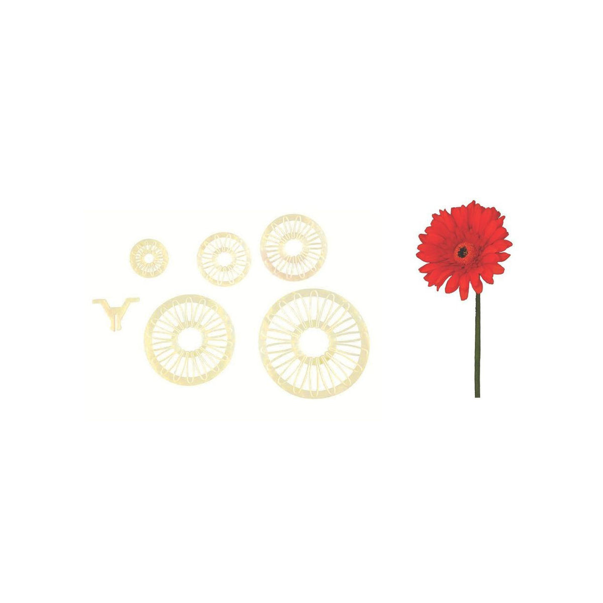 FMM SUGARCRAFT Daisy Collection (set of 6)