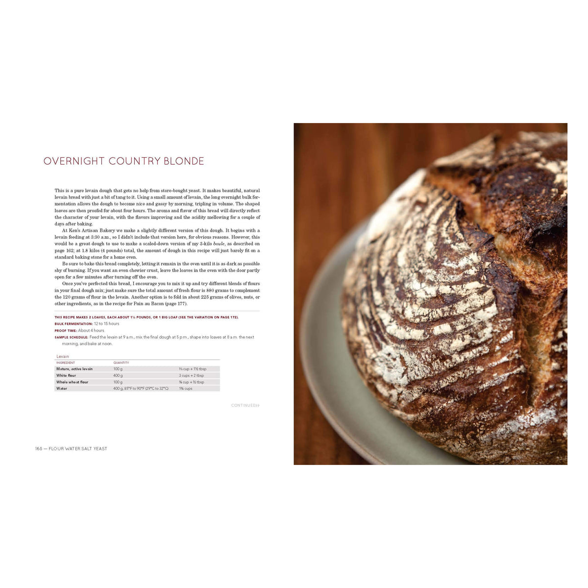 Flour, Water, Salt, Yeast: The Fundamentals of Artisan Bread and Pizza (EN)