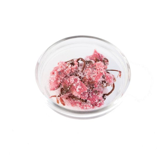 GUSTA SUPPLIES Cherry Blossom (Sakura), Preserved in Salt