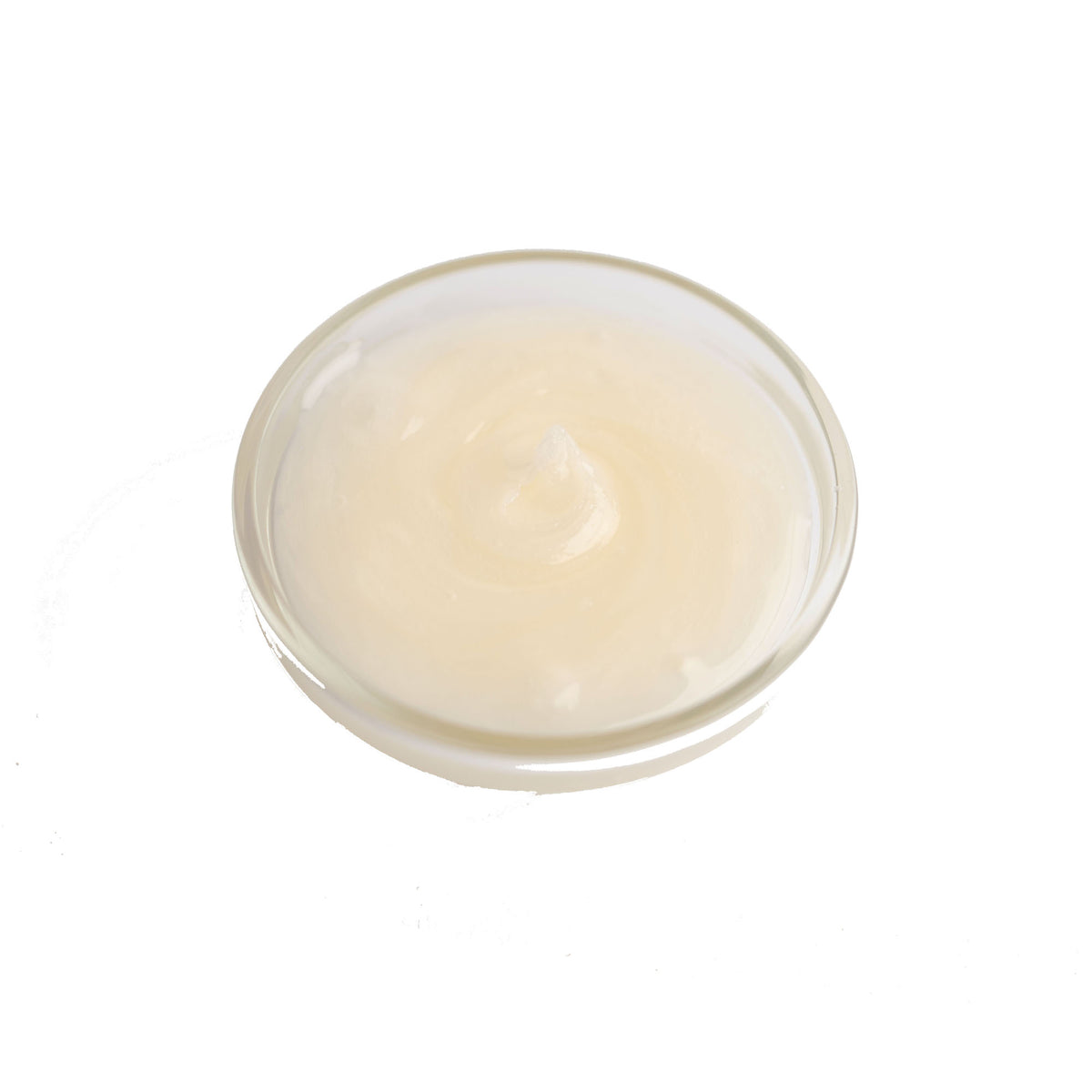 GUSTA SUPPLIES Inverted Sugar
