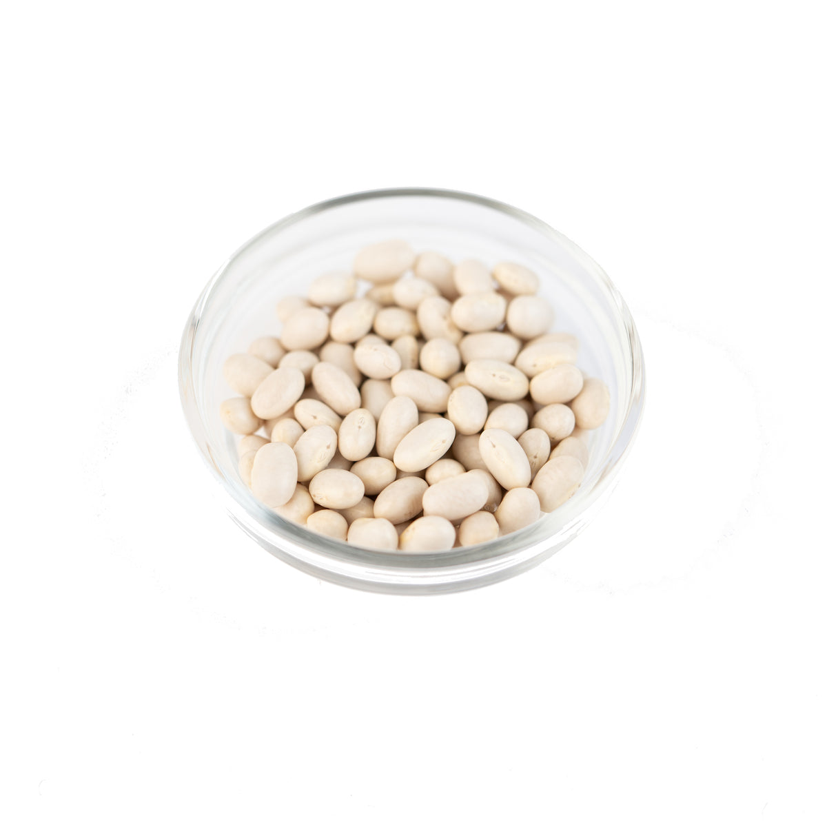 GUSTA SUPPLIES Japanese Otebo Beans