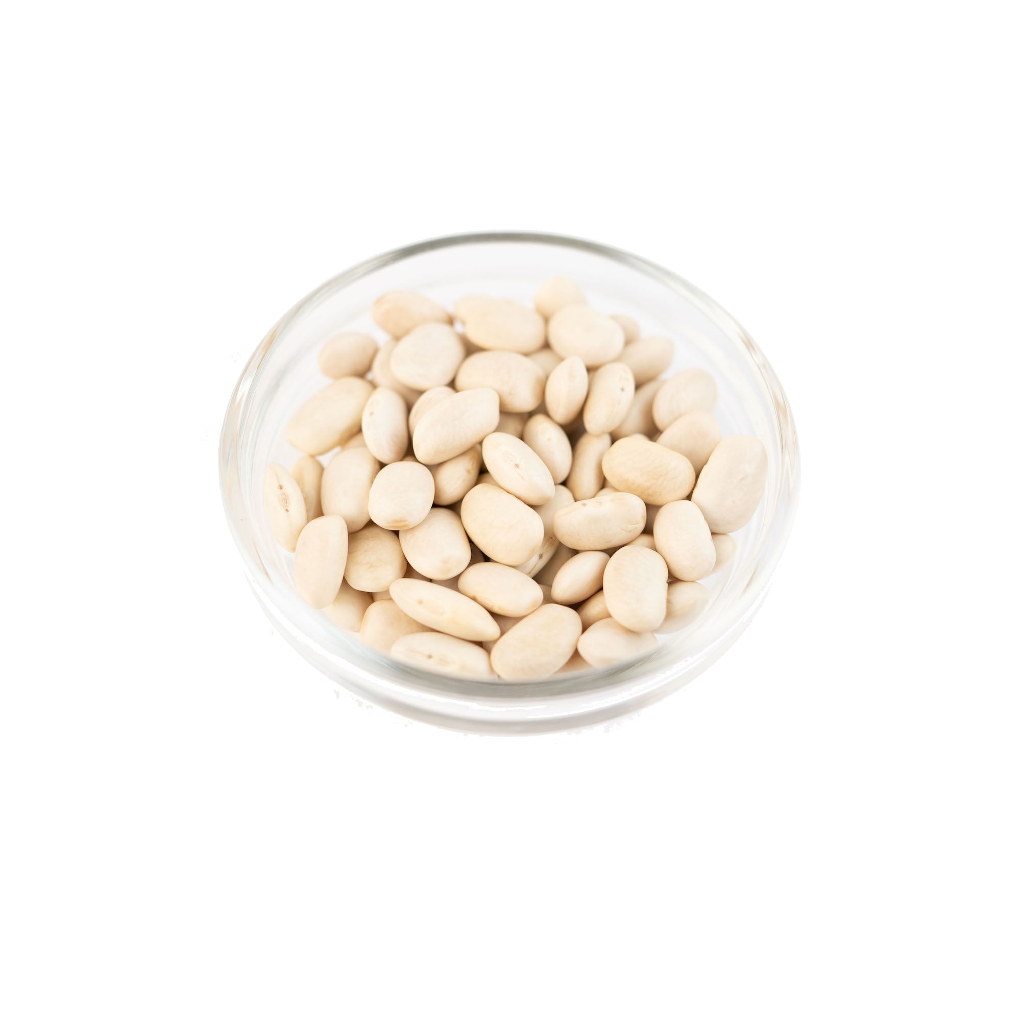 GUSTA SUPPLIES Lingot Beans