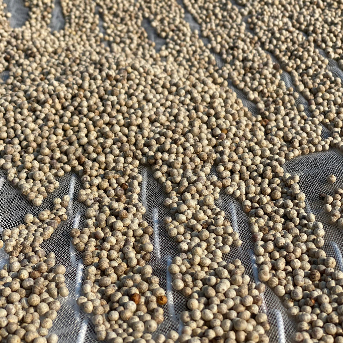 LA PLANTATION Organic White Kampot Pepper