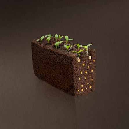 VERITABLE Lingot, Cayenne Hot Chili