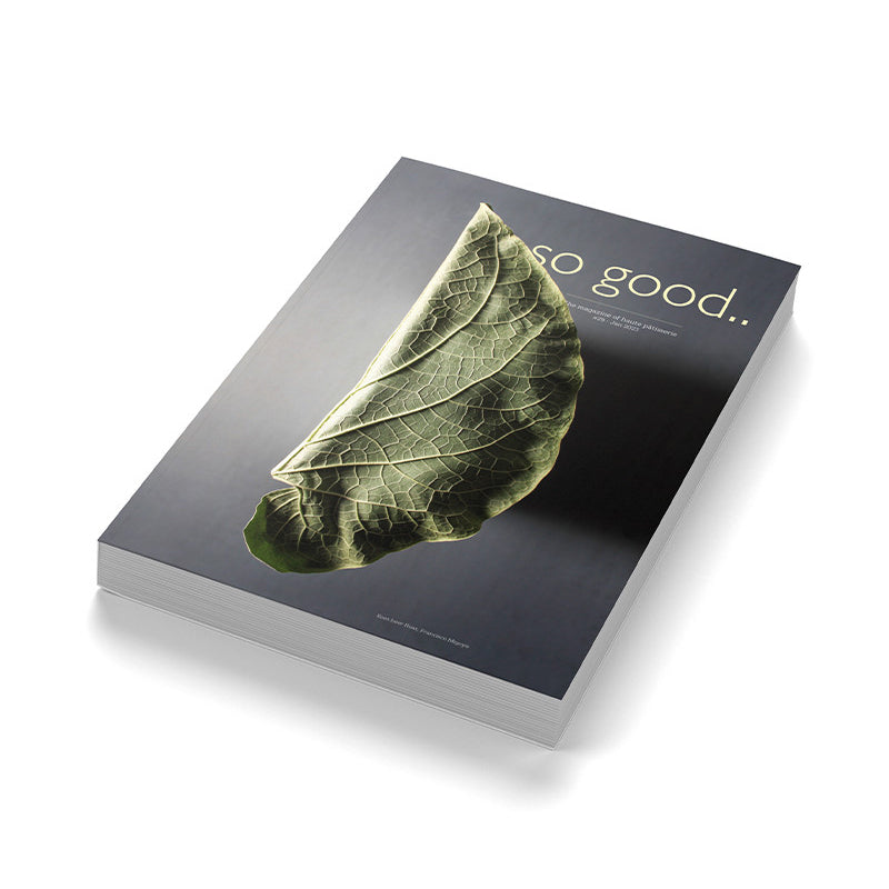 So Good Magazine #29 (EN)