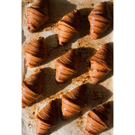 Sourdough Panettone and Viennoiserie by Thomas Teffri-Chambelland (EN)