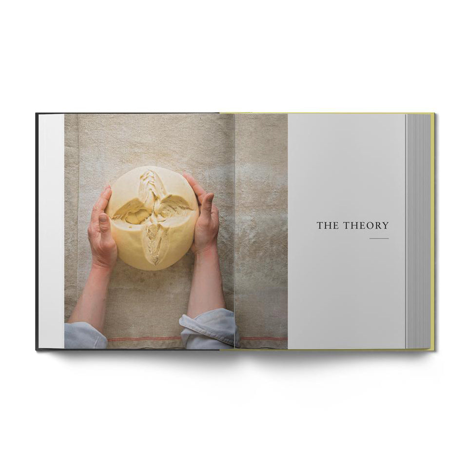 Sourdough Panettone and Viennoiserie by Thomas Teffri-Chambelland (EN)