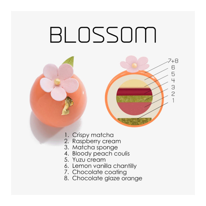 Sweet Concepts by Gregory Doyen (EN)