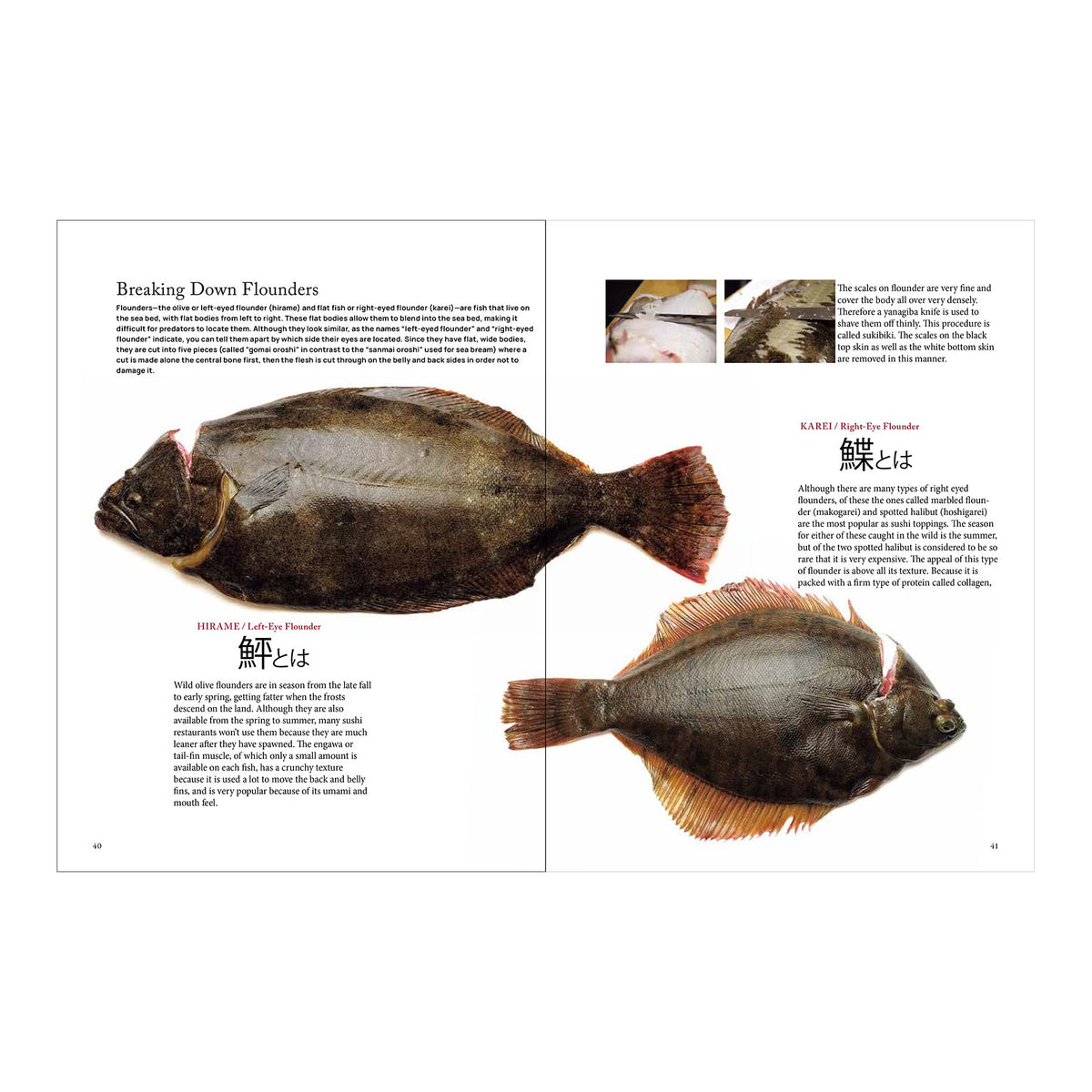 The Art and Science of Sushi: A Comprehensive Guide to Ingredients, Techniques and Equipment (EN)