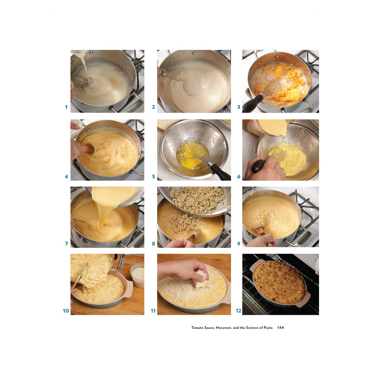 The Food Lab, Better Home Cooking Through Science (EN)
