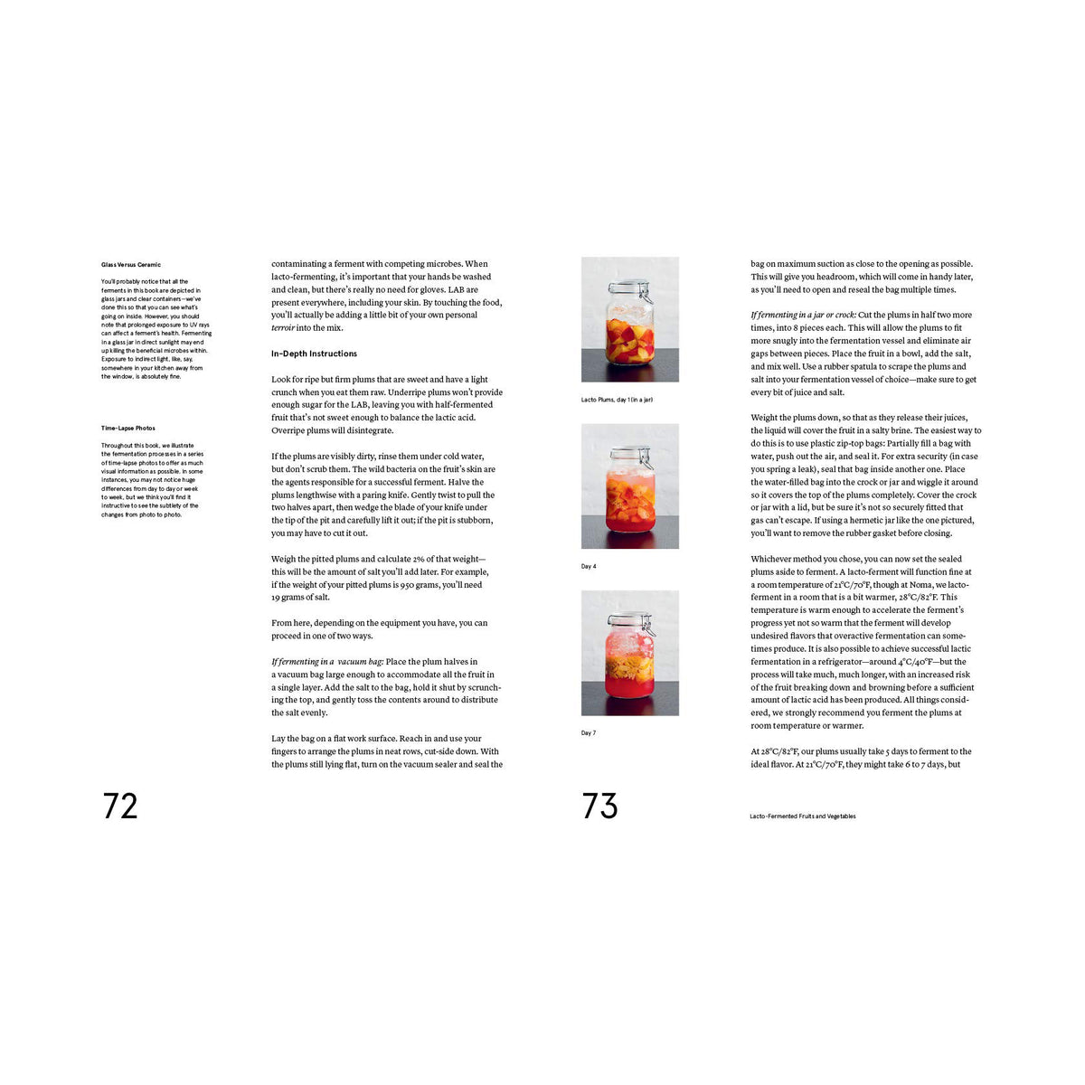 The Noma Guide to Fermentation (EN)