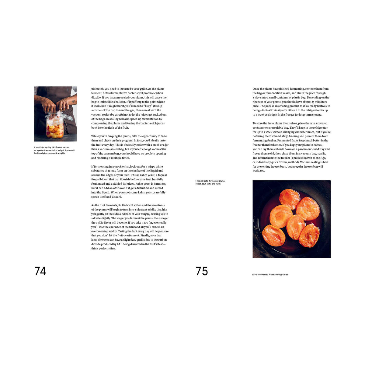 The Noma Guide to Fermentation (EN)