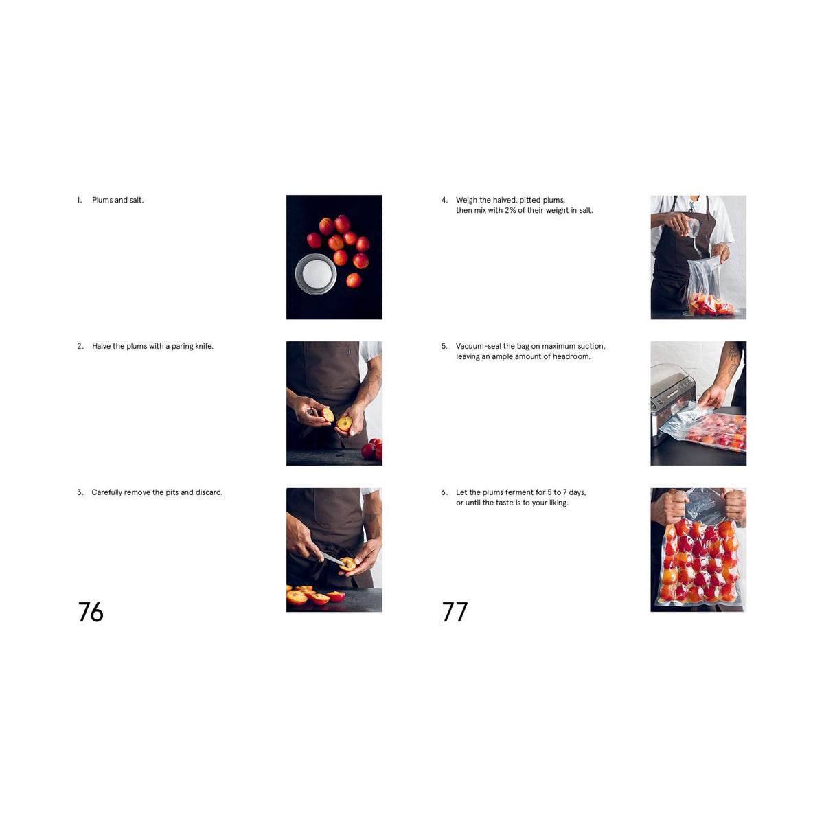 The Noma Guide to Fermentation (EN)