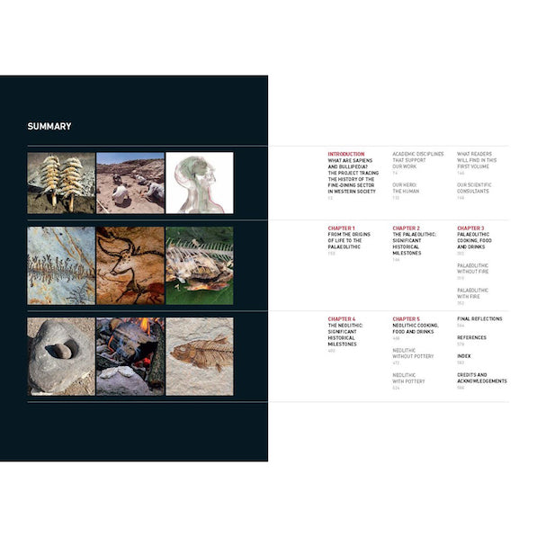 The Origins of Cooking: Palaeolithic and Neolithic Cooking (EN)