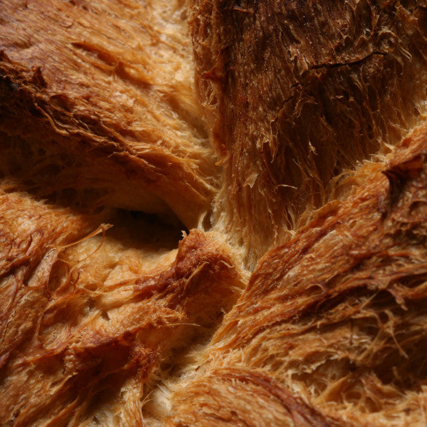 True Bread by Joaquín Llarás (EN/ES)