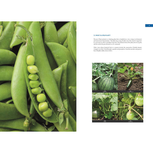 Unelaborated Products: Definition and Classification (EN)