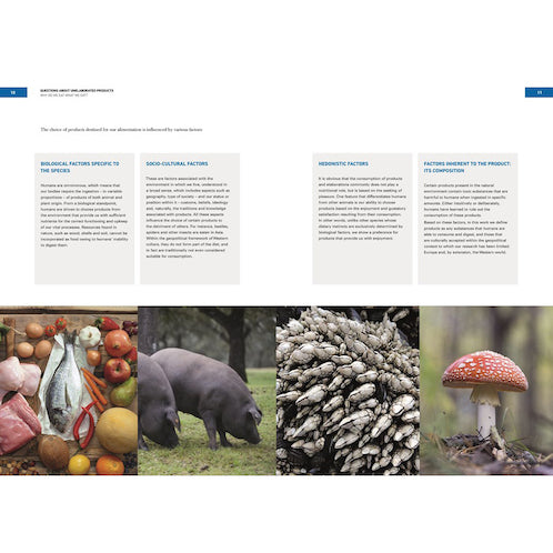 Unelaborated Products: Definition and Classification (EN)