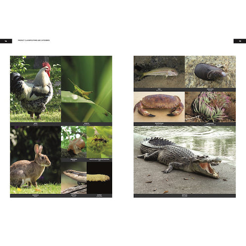 Unelaborated Products: Definition and Classification (EN)