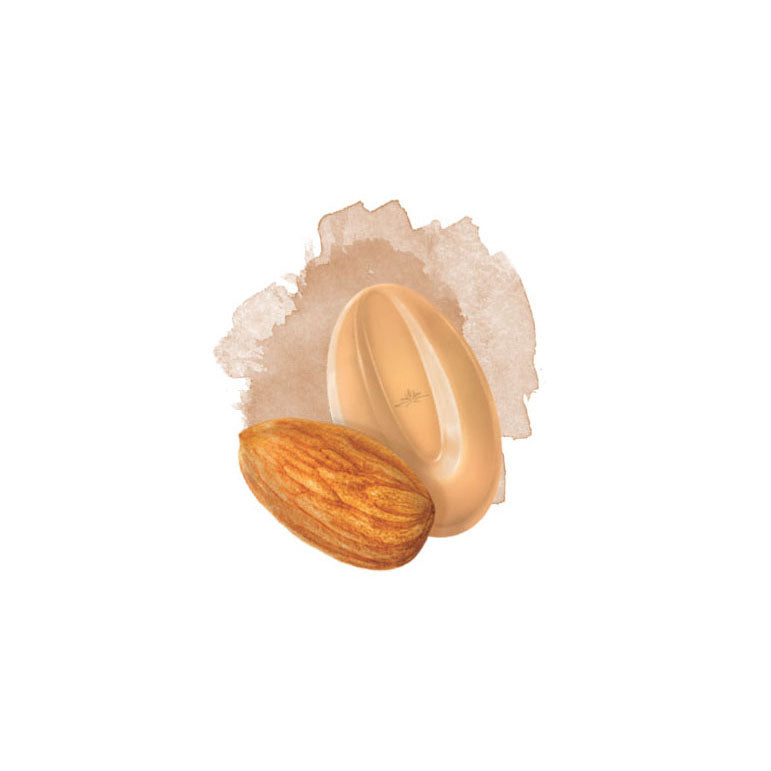 VALRHONA Almond Inspiration, Nuts Chocolate Couverture