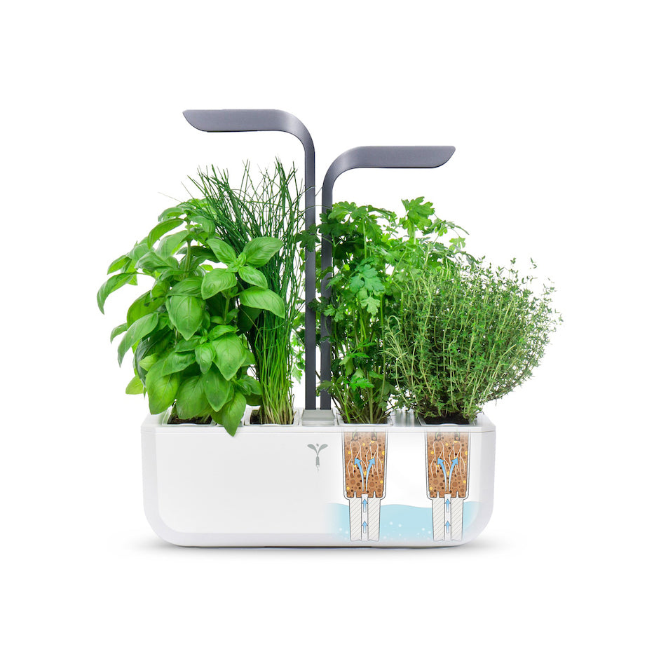 VERITABLE Connect Edition Infinity Grey, 4 Plants