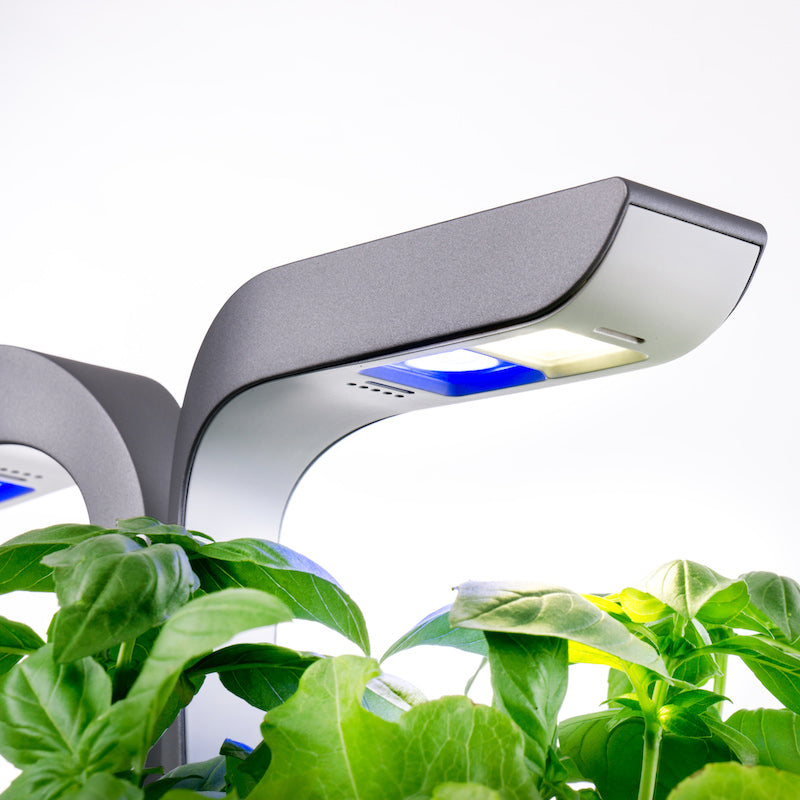 VERITABLE Connect Edition Infinity Grey, 4 Plants