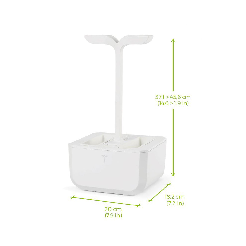 VERITABLE Exky Classic Edition White, 2 Plants